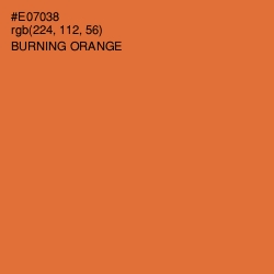 #E07038 - Burning Orange Color Image